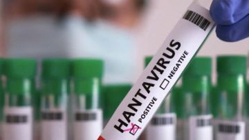 Әлемді алаңдатқан хантавирус: қазақстандықтарға маңызды ескерту жасалды