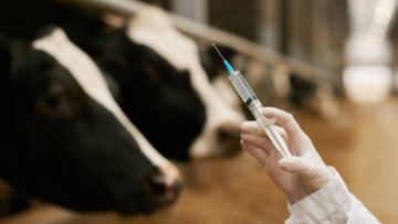Zerendide 2,8 myńnan astam jalǵan vaktsinatsiia faktisi anyqtaldy