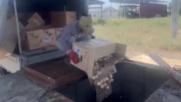الماتى بازارىندا ٸرٸ كٶلەمدە كٷمەندٸ جۇمىرتقا انىقتالدى