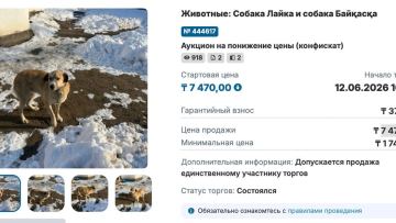Қызылорда облысында қылмыстық іс бойынша тәркіленген екі ит аукцион арқылы сатылды