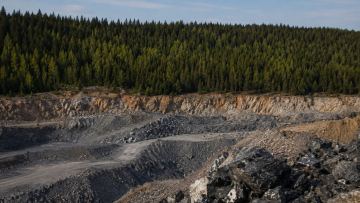 Abai oblysynda memlekettik ormanda paidaly qazbalardy zańsyz óndirgender ustaldy