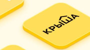 Krisha saity iri kólemde aiyppul arqalady