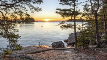 Zerendi kóli mańyndaǵy qaraǵaily orman qýrai bastaǵan: turǵyndar dabyl qaqty