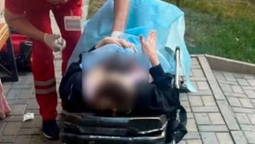 Almatyda dárigerler áieldi turǵyn úi aýlasynda bosandyryp aldy