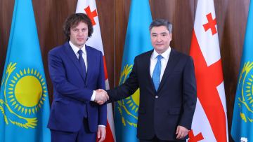 Бектенов пен Кобахидзе Тоқаевтың келісімдерін іске асыруды талқылады