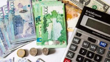Несие аларда нені ескеру керек? Сарапшы кеңесі