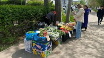 Алматыда жеті ірі заңсыз сауда орны жабылды
