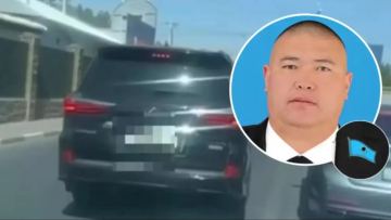 Түркістан облысында депутат Қытай азаматын зорлады деген күдікке ілінді - БАҚ