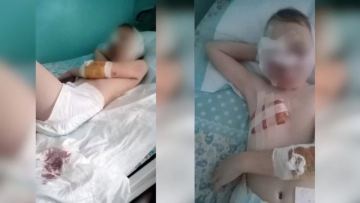 Qaskeleńde 11 jastaǵy balaǵa shabýyl jasaǵan itterdiń iesi sot aldynda jaýap berip jatyr