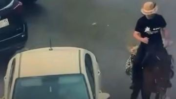 استانادا اتپەن قالا ارالاعان بلوگەرگە ايىپپۇل سالىندى