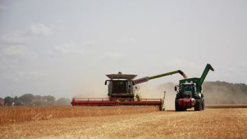 Қазақстанда астық пен майлы дақылдар нарығында белсенділік төмендеді