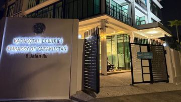 Шетелде 228 қазақстандық Құрылтай сайлауында дауыс берді