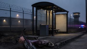 Талғарда сегіз жастағы қызға сексуалдық сипаттағы әрекет жасамақ болған ер адам бұрын сотталған болып шықты