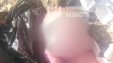 جامبىل وبلىسىندا قوقىس جەشٸگٸنەن جاڭا تۋعان سەبي تابىلدى