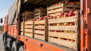 Қазақстанға алма импорттауға жыл соңына дейін тыйым салынды