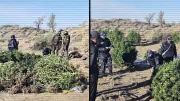 Arnaiy operatsiia: Jambyl oblysynda jasyryn qarasora alqaby áshkere boldy
