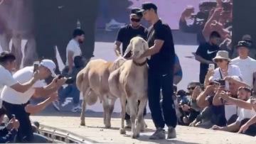 قىرعىزستاندا قوشقار 1 ميلليون دوللارعا ساتىلدى