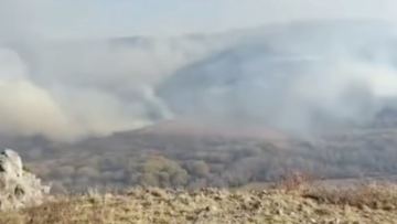 Tarbaǵatai ulttyq parkinde órtti sóndirý jumystary qiyndap jatyr