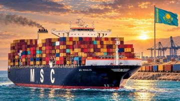 Әлемдік контейнер тасымалының алыбы MSC Қазақстан нарығына келді
