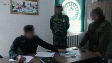 “Семей орманында“ лауазымды тұлғалардың заңсыз әрекеті әшкере болды
