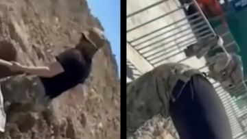 Ақша жинап, құрылысқа мәжбүрлеген: Атыраулық арнайы жасақ қызметкерлері басшылық тарапынан қысым көргенін мәлімдеді