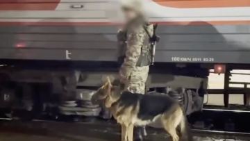 Есірткі дайындау кезінде екі адам қаза тапқан: ұйымдастырушы Ресейден елге жеткізілді