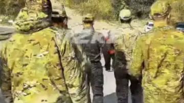 Алматы тауларында Корея азаматы үш аптаға жуық уақыттан бері іздестіріліп жатыр