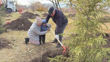 Сарайшық ауданының жасыл қоры 80 мың ағаштан асты