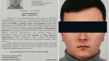 Қызылордадағы жол апатына қатысты тың дерек шықты