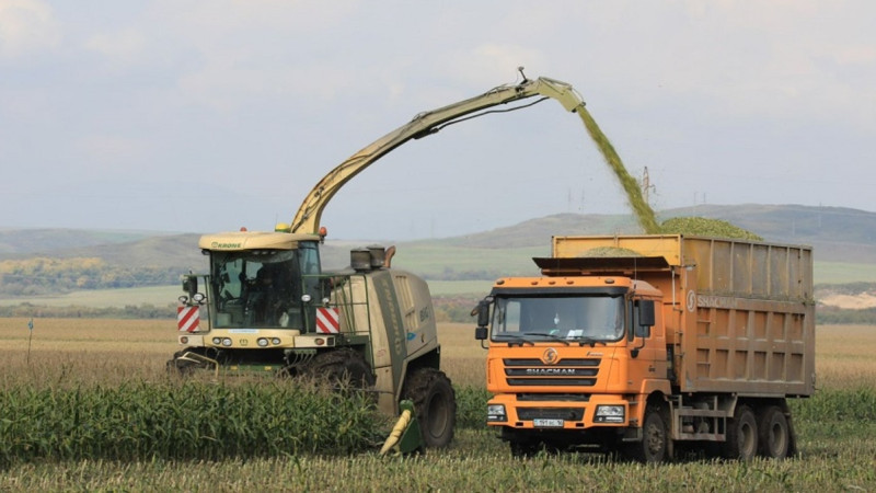 Shyǵysta agroónerkásip salasy boiynsha 37 investjoba iske asatyn bolady
