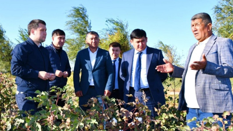 Tórtkúldiń maqtasyn Chehiia men Kanada satyp alady