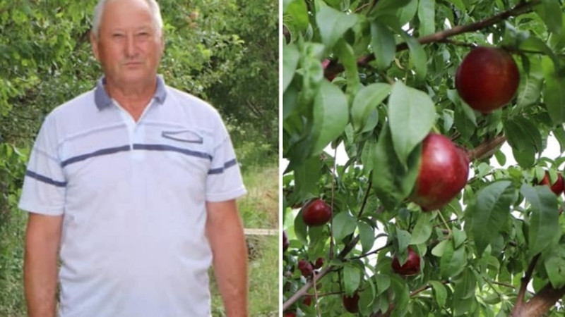 «Keńes berýge ázirmin!». Baý-baqsha men balyq ósirip, paidaǵa kenelegen sharýa tájiribesimen bólisýge daiyn