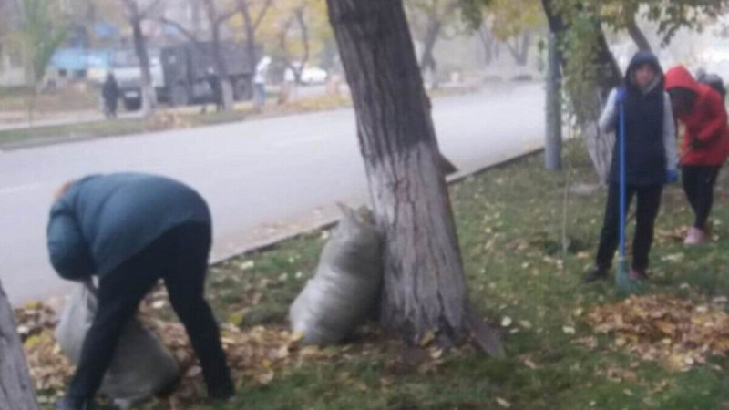 Семейде ұстаздарға көше сыпыртқан шенділер жазасын алды