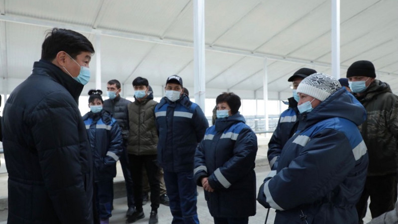 Бауыржан Байбек СҚО-да Nur Otan белсендісі ауылға оралып, тіршілікке жан бітіргенін айтты