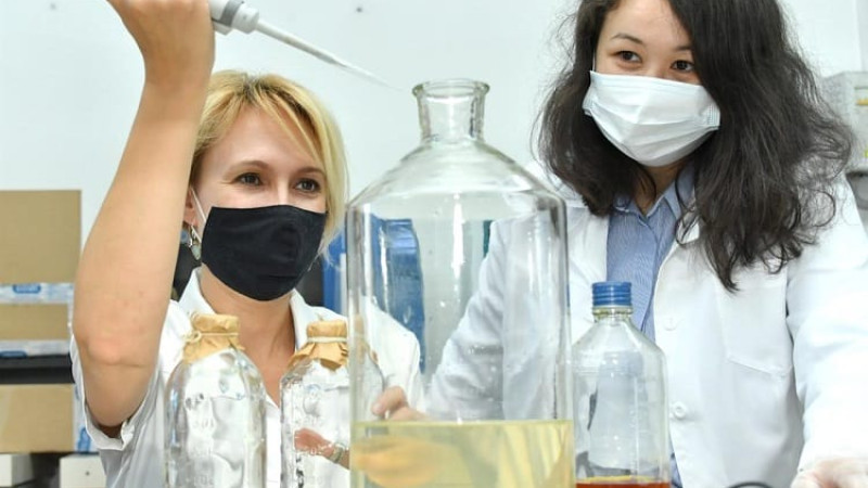 QazUÝ professorlarynyń ailyǵy 163%-ǵa ósti
