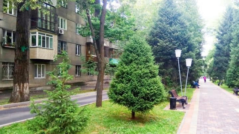 Almatynyń kógaldandyrý jumystary halyq densaýlyǵyn nyǵaitaýda