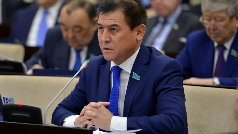 سەناتور: «قويناۋى مۇنايعا تولى جەرلەردٸڭ قىزىعىن دەلدالدار كٶرٸپ وتىر»