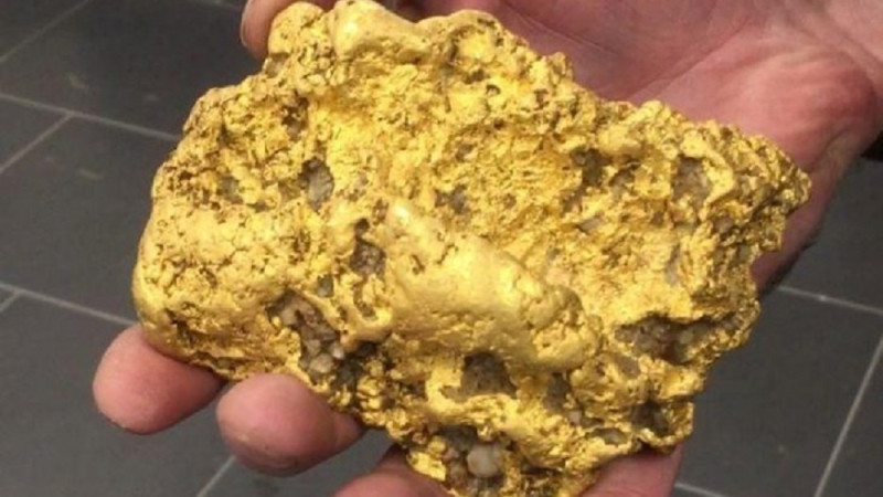 Ресейге 250 млн теңгенің алтынын алып өтпек болған