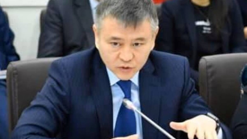 Тайжан: "Бұл түрімізбен алтын валюта қорымыздың бір бөлігінен айырыламыз"