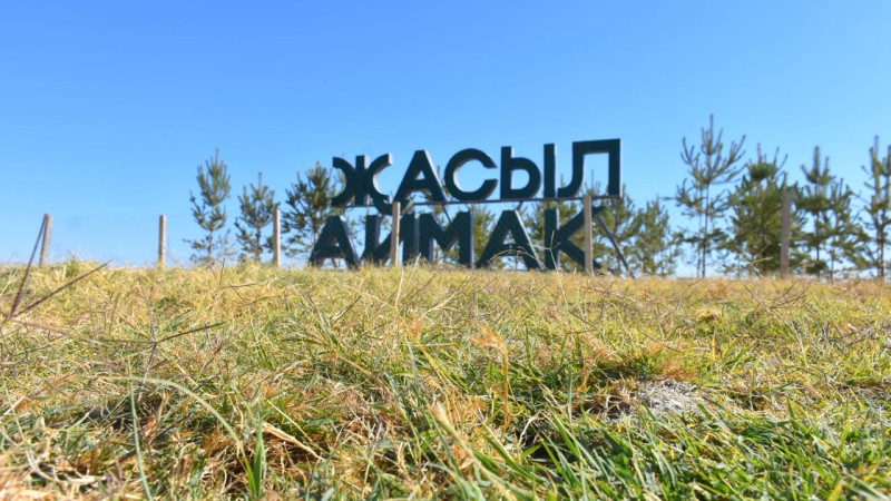 «Жасыл белдеу» Түркістанның айналасын ну орманға айналдырады