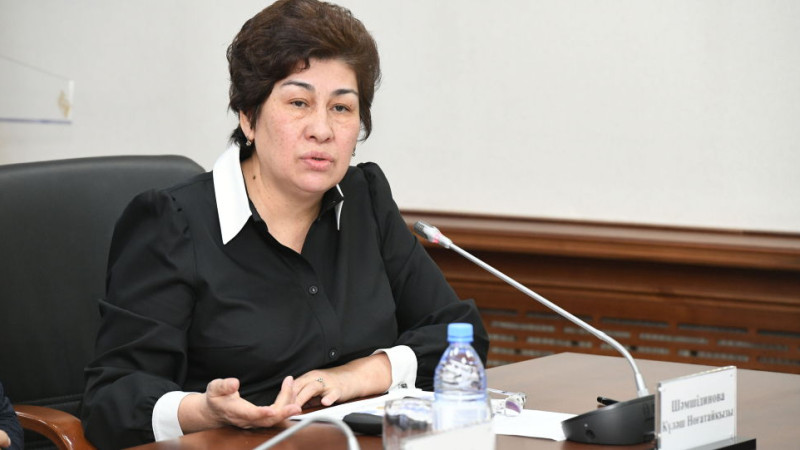 Шәмшидинова үштілділікке қатысты ойын айтты