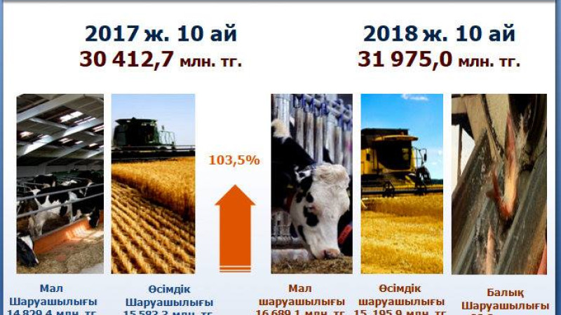 Ordabasy aýdanynda aýyl sharýashylyǵy salasynda 31 mlrd. teńgeniń ónimi óndirildi