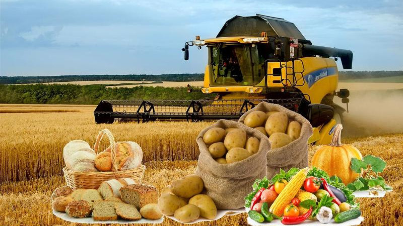 Oblysta aýyl sharýashylyǵyn damytýdyń jańa tujyrymdamasy túziledi