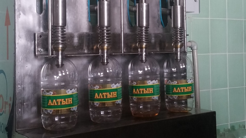 Sairamdyqtar ósimdik maiyn óndirýde