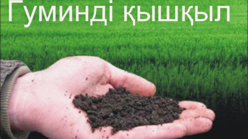 QazUÝ ǵalymdary kómirden gýmindi qyshqyl alýdyń tehnologiiasyn tapty