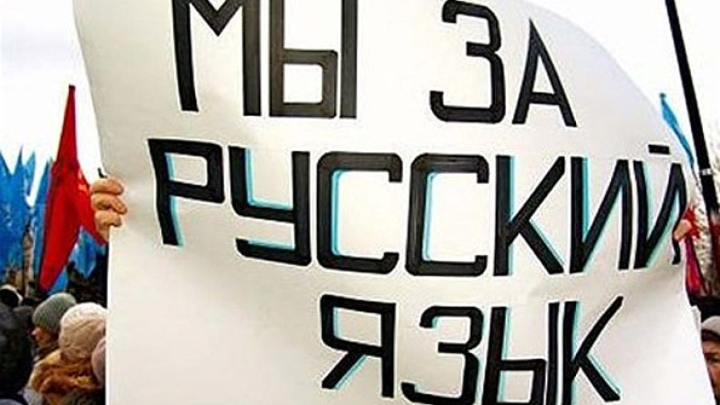 Daniiar Sadykov: Qyrǵyz tili quryp barady