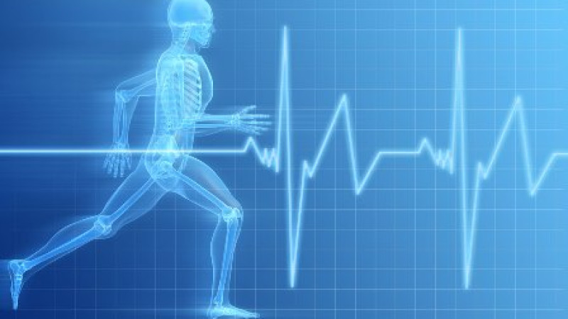 دەرٸگەرلەر بٸلٸكتٸلٸگٸن جەتٸلدٸردٸ