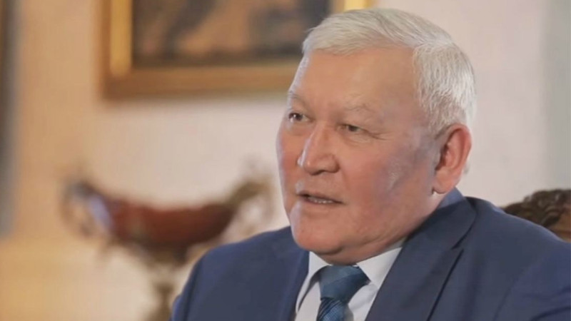 "بالانىڭ باقىتىن بايلاۋعا بولمايدى": ەكس-مينيستر شەتەلگە كەتكەن بٷلدٸرشٸندەر تۋرالى