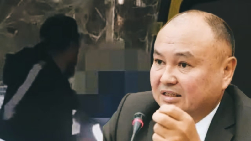 جاڭا قازاقستان "وتموروزاكتاردى" اياماۋى كەرەك - دەپۋتات