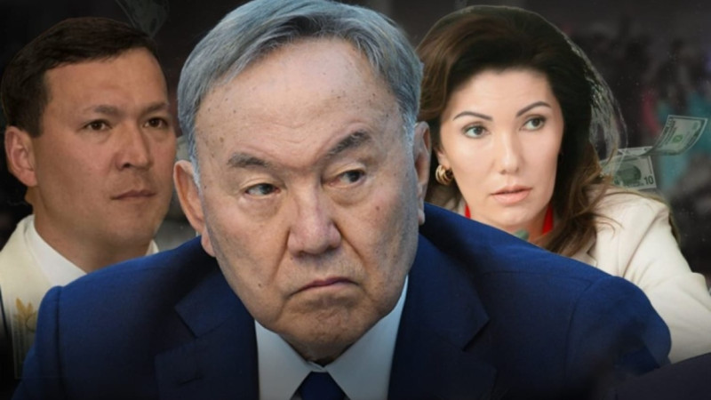 "Оны ортасы бұзды". Экс-депутат Назарбаевқа араша түсті
